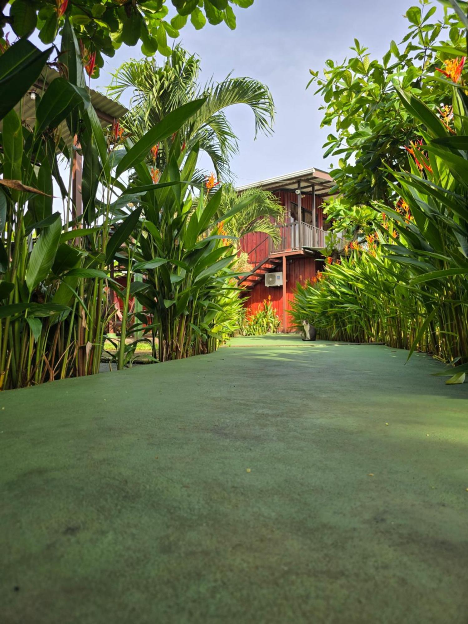 Tortuguero Hill Rooms Exterior foto